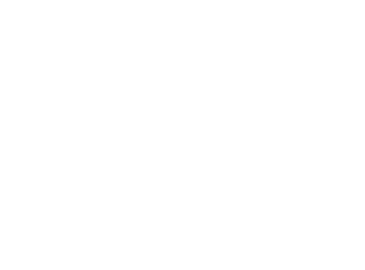 D-PLUS